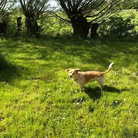 Reetdachhaus Rüxbüll Apartment